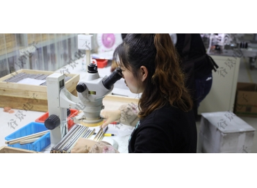 貼片共模電感方向如何區分你知道嗎？